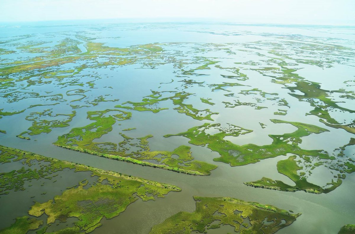 A Celebration of Wetlands