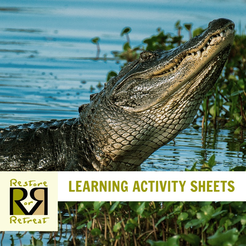 ROR Launches Activity Booklet!